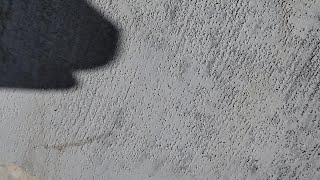 CROP Walk 10022022