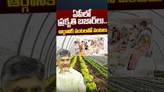 ఏపీలో ప్రకృతి బజార్లు.. ఆర్గానిక్ పంటలతో వంటలు | AP Organic Farm | Chandrababu | Nethra Tv Telugu