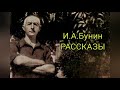 И.А.Бунин рассказ &quot;Репин&quot;.