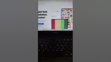 🎨 Generador de paletas de colores 🎨