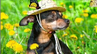 🐶 Puppy Jigsaw Puzzle  screenshot 4