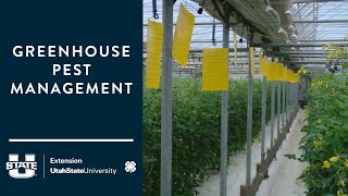 greenhouse pest management