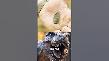 Digging for Dinosaur Bones! Watch now on our channel!