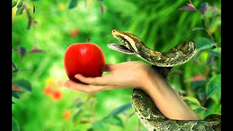 ¿Se comió Eva la manzana de Adán?