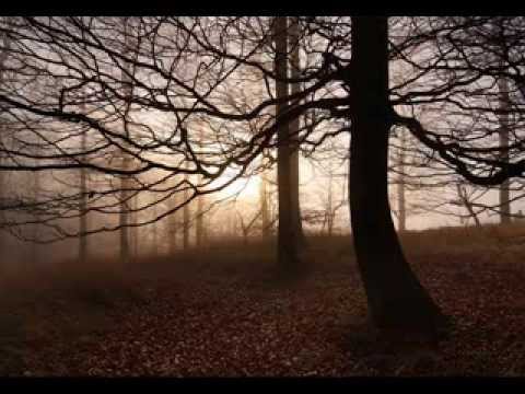 Fading Colours — Fading Colours - Time (Freenternetry mix)