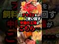 ㊗️250万再生!!プラスチックを飼料にリサイクルする工場　#shorts
