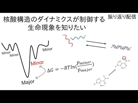 【人生を変えたBest Paper】振り返り配信 朝桜(あさくら)さく しなぎれ 生命燐(いのちりん)