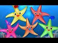 Starfish Finger Family | 3D Nursery Rhymes For Kids | Family Finger Song