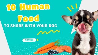 10 Human Foods good for Dogs (Human foods you can safely share with your Dog) - #dogfood #treat