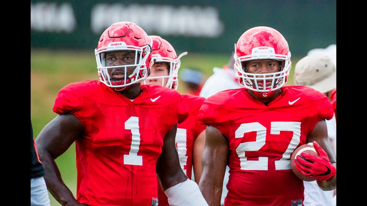 Georgia football: Nick Chubb, Sony Michel making final season together special