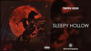 Trippie Redd – Sleepy Hollow (432Hz)