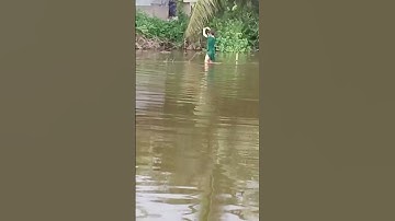 kiếm cá rô phi về chiên xù