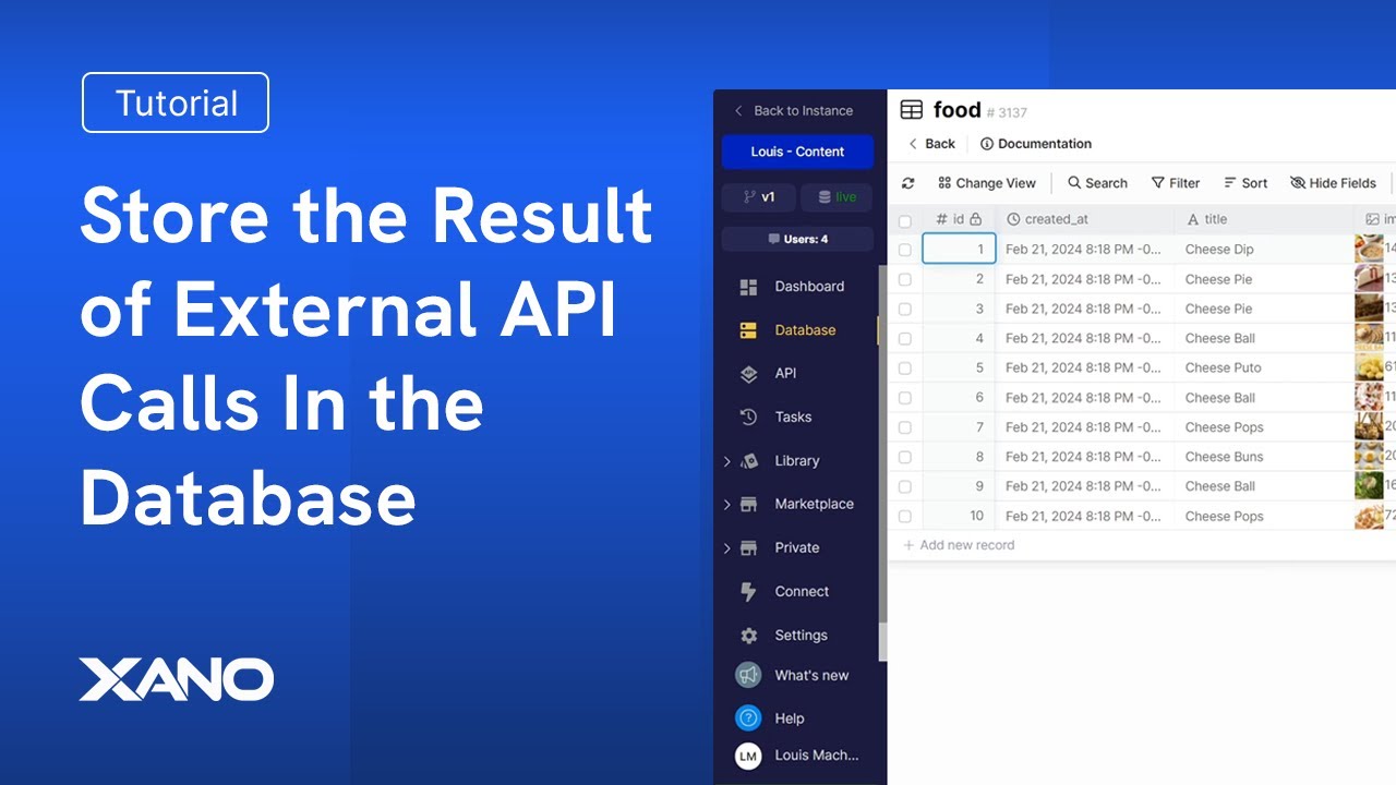 How to Store the Result of External API Calls In the Database
