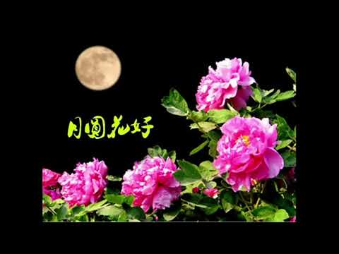 张平福 John Teo & 新时代乐队 - 月圆花好 ( SINGAPORE )