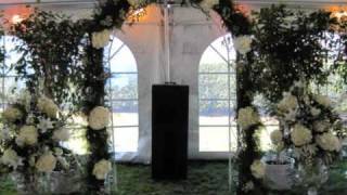 Movie_0005.wmv