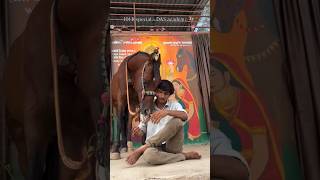 #youtube #horseriding #harshkher #horse #horseriding