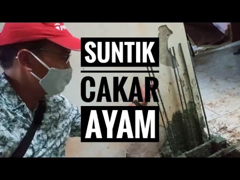 Video: Bolehkah saya membina sambungan sisi dua tingkat?