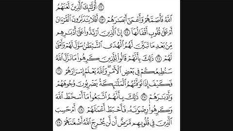 سورة محمد بصوت نايف السالم تراويح رمضان لعام 1431