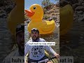 Big Gaint Duck 🦆😱#funny #river #funnyvideos #funnyshorts