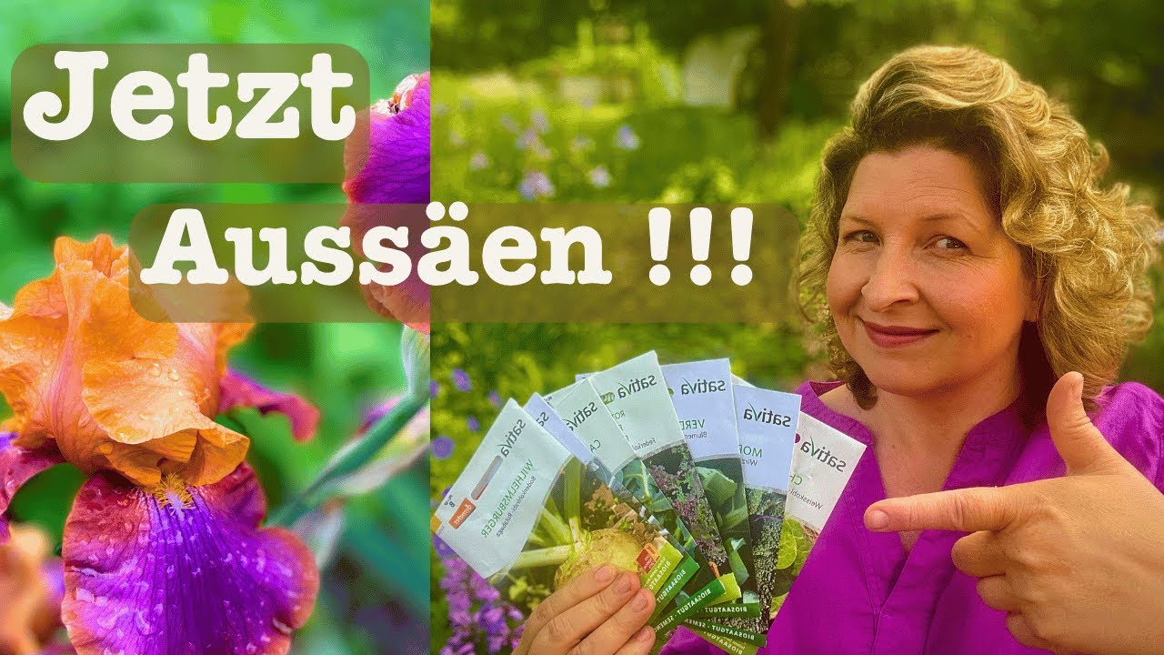# 94 Wichtige Aussaaten im Juni 🥬 Kohl für den Winteranbau 🫘 Bohnen und Süßkartoffeln Garten im Juni