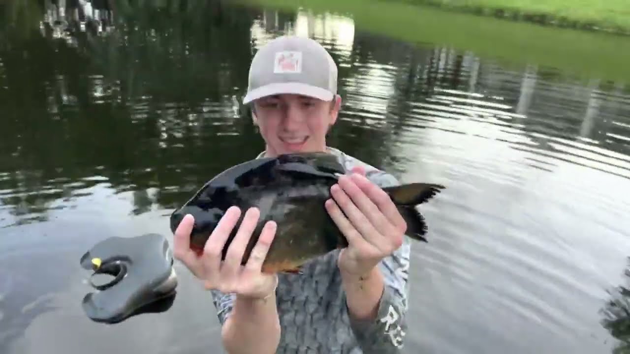BASS FISHING PRODUCTIONS TRAPPING GIANT PIRANHAS in the POND!!!