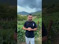 Краснодар 🙌🏻Жду Вас на презентации | улица ЕвдокииБершанской, 418Церковь Святых Саака и Месропа