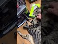 ビールのつまみはこれじゃろ!!!