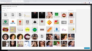 Easy Video Player Wordpress Plugin thumbnails preview