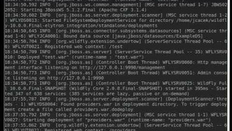 Are you ready for a new WildFly security? Elytron! - Josef Cacek