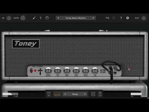Toney Amp Sim by Audio Assault