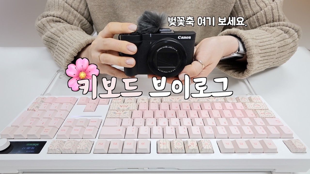 캐논V1과 함께한 사무실 벚꽃🌸출사 어떤데?!