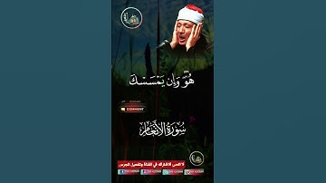 #تلاوة_صوت_جميل_عذب #القرآن_الكريم #دار_القرآن #اكسبلور #dar_alkoran #duet #راحة_نفسية #دويتو