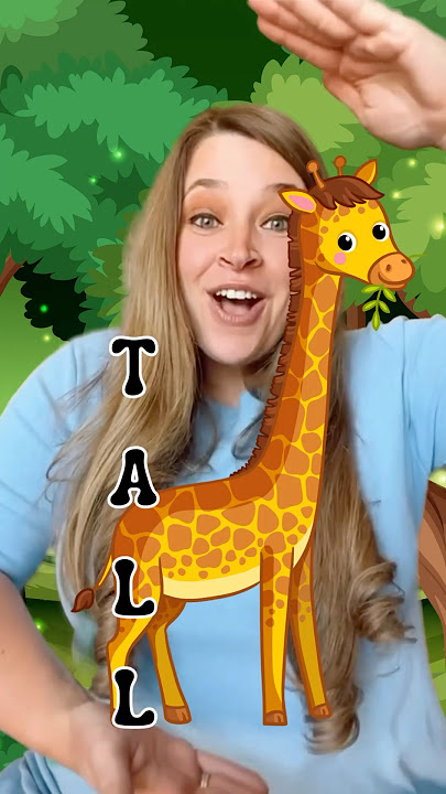Have FUN learning OPPOSITES with Ms Jessica | KIDS