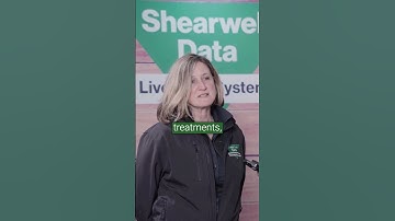 Handheld Stock Recorder