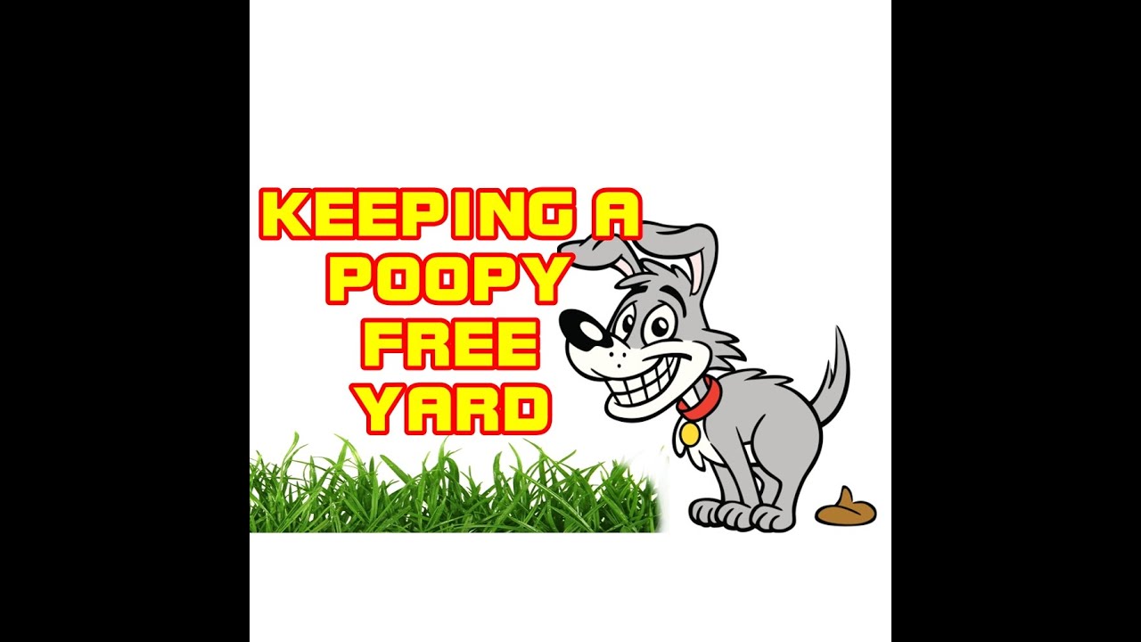 How To Keep Your Yard; Dog Poop Free!