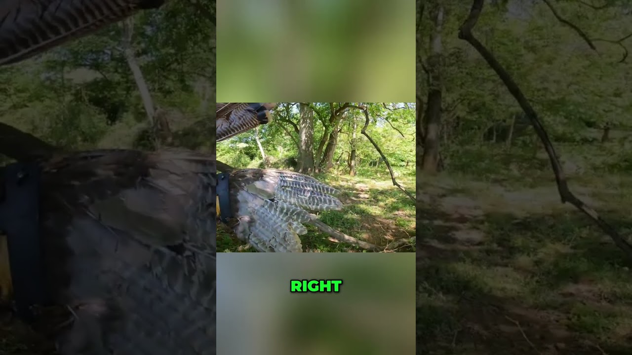Hunter's Reaper Setup: Magnetic Mounts for Epic Shots! #shorts