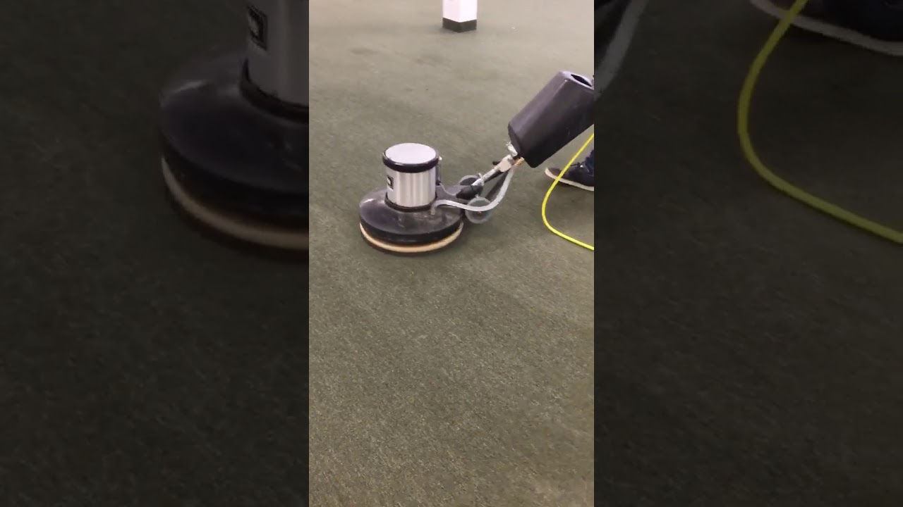 Carpet Cleaning Services By Evergreen Carpet Cleaning YouTube