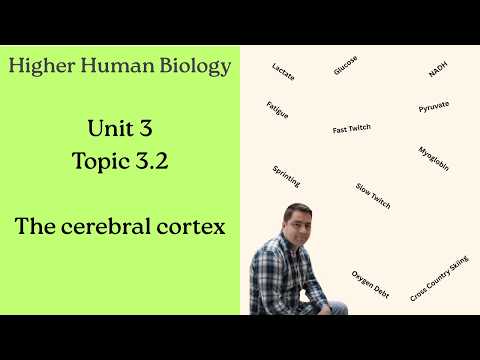 Higher Human Biology: 3.2 The Cerebral Cortex - Full Lesson