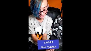 Royal X Reptiles $2000 Ball Python Unboxing. Thanks Kinova