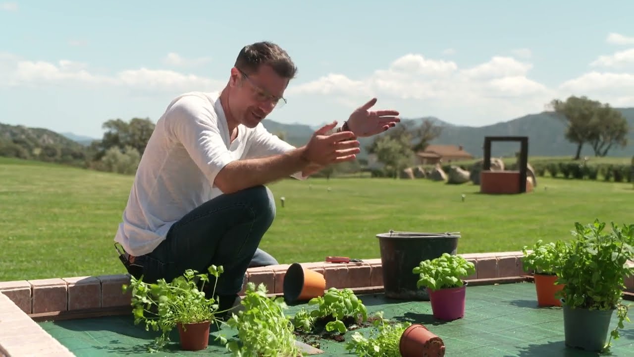 Приготовление курицы в пиве на острове Сардиния 🏝️ | Джино Д’Акампо