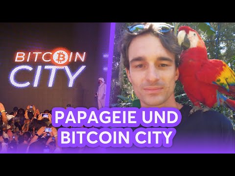 Unterwegs in El Salvador: Bitcoin City, Kaffeeplantagen-Besuch & mehr! El Salvador Vlog 4/4