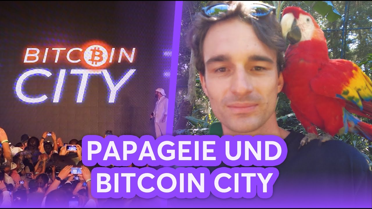 Unterwegs in El Salvador: Bitcoin City, Kaffeeplantagen-Besuch & mehr! El Salvador Vlog 4/4