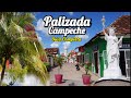 Video de Palizada