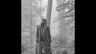 Download lagu Taylor Swift - Cardigan (8d audio) folklore