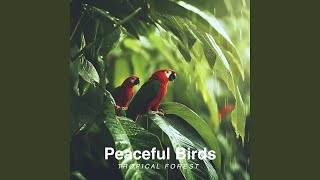 Tropical Forest