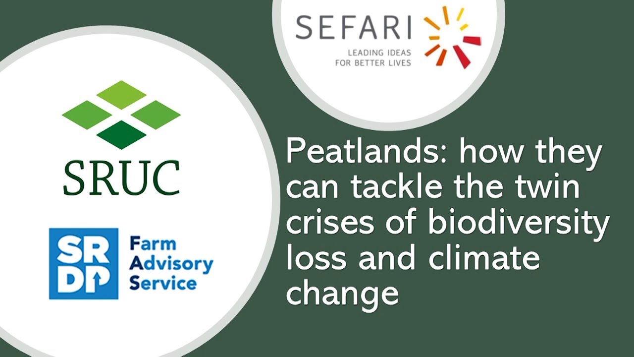 Peatlands: How They Can Tackle the Twin Crises of Biodiversity Loss and ...