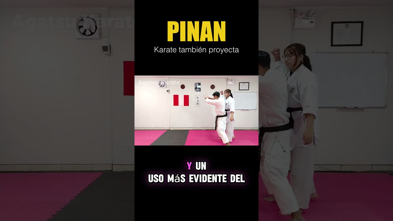 PINAN SANDAN: KARATE y GRAPPLING 🤼‍♂️