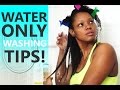 Water Only Washing Update: 1 Year Without Shampoo!! Fine/Thin/4A Natural Hair | BorderHammer