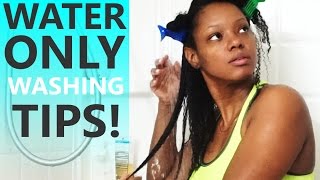 Water Only Washing Update: 1 Year Without Shampoo!! Fine/Thin/4A Natural Hair | BorderHammer