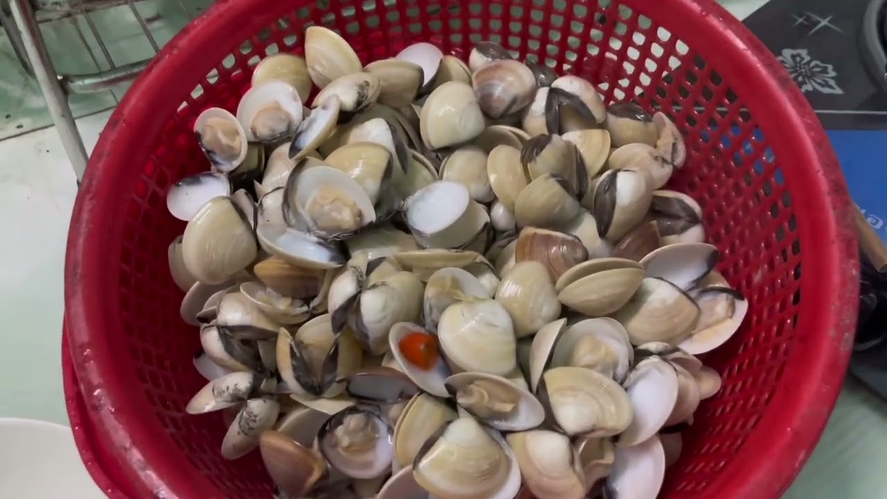 Nấu Cháo nghêu và nấm gom ca gót 